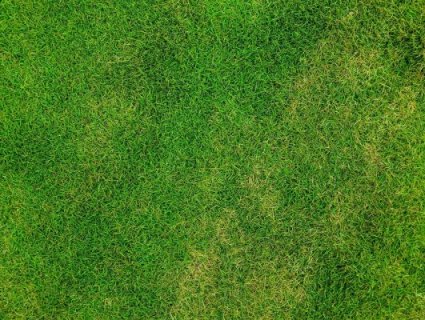 The advantages of artificial turf over natural turf