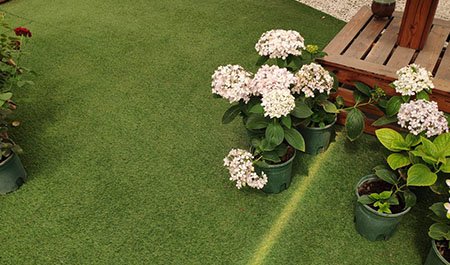 Indoor artificial landscape grass in a certain place in China