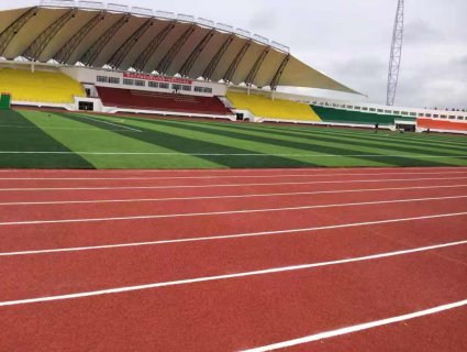 EPDM vs. SBR Rubber Granules for Athletic Running Tracks