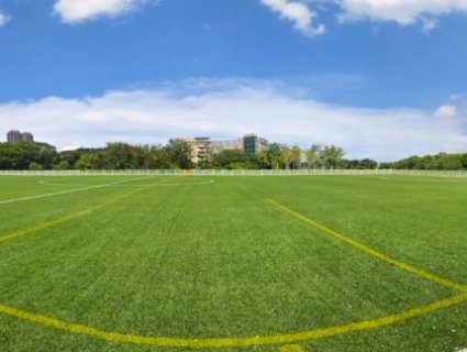 Sports Surfaces Where Artificial Turf Performs Best