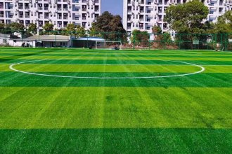 ARTIFICIAL TURF ULTIMATE FRISBEE
