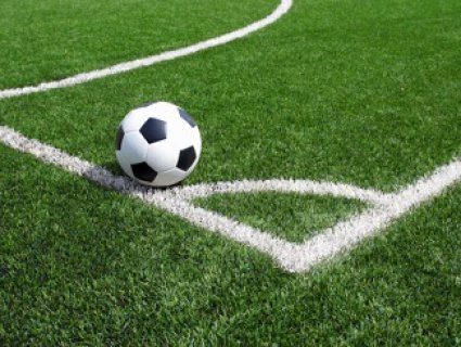Choosing the Right Artificial Grass for Sports Fields: A Complete Buyer's Guide
